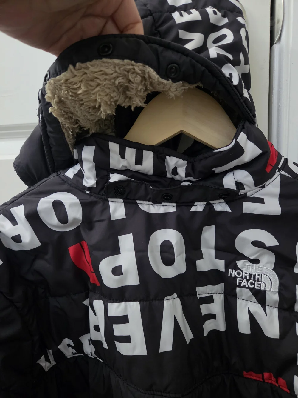 The North Face north face